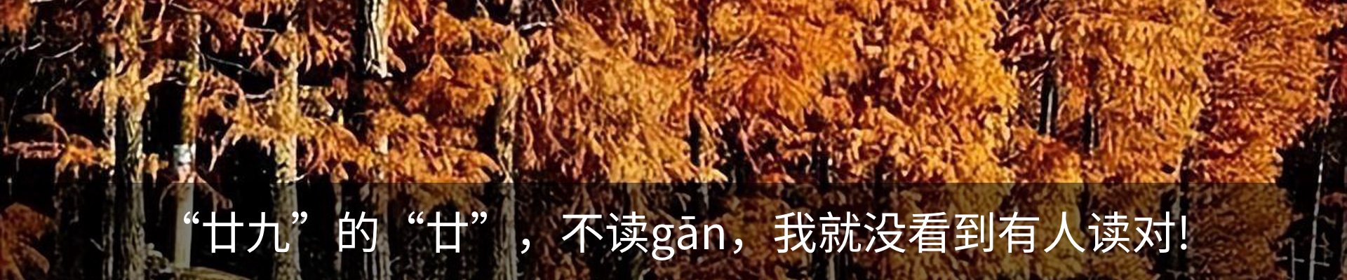 内页banner