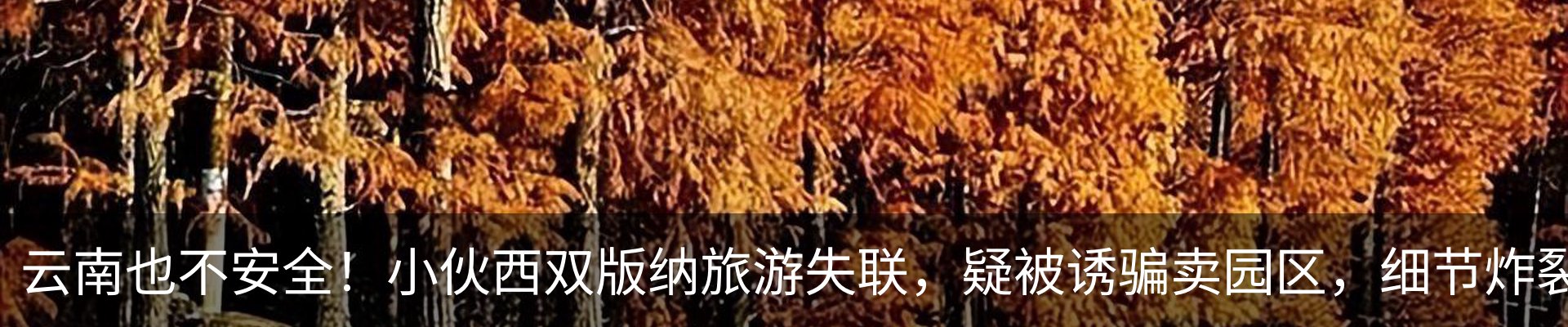 内页banner