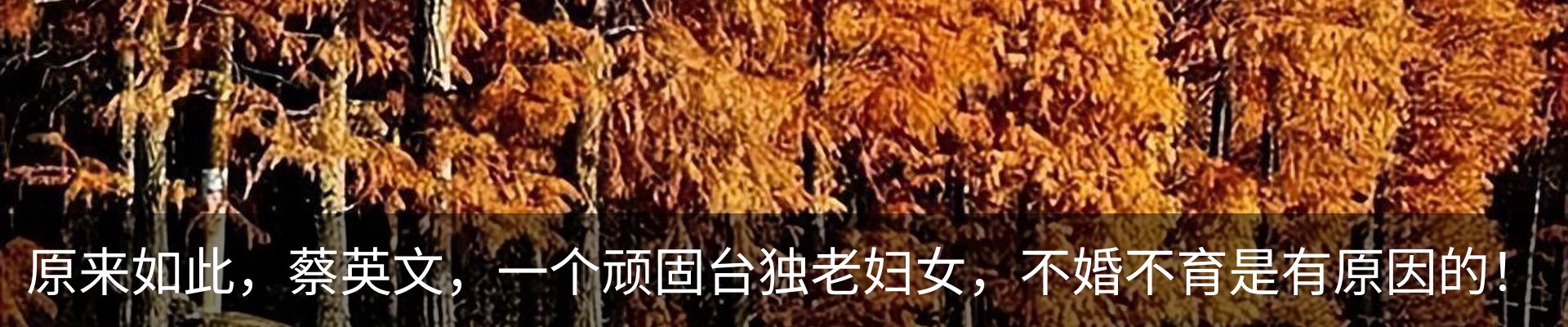 内页banner