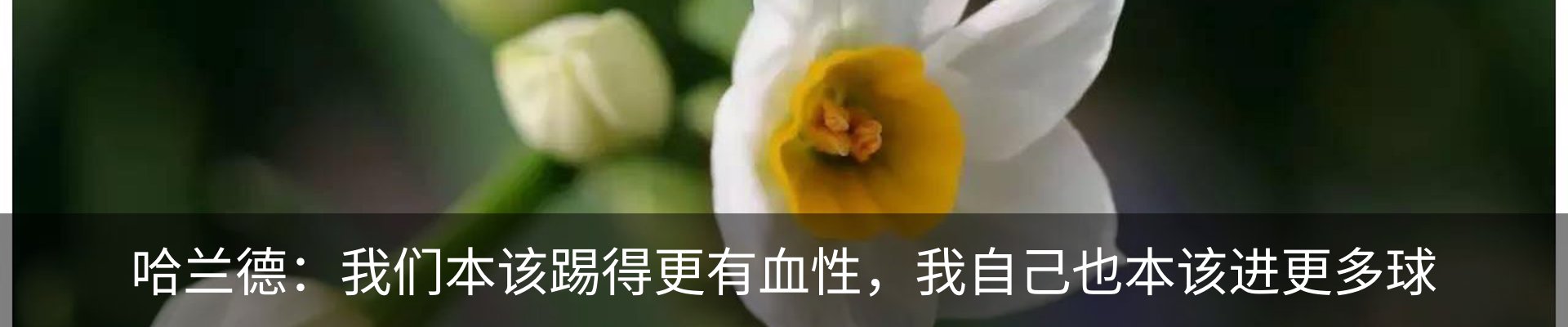 内页banner