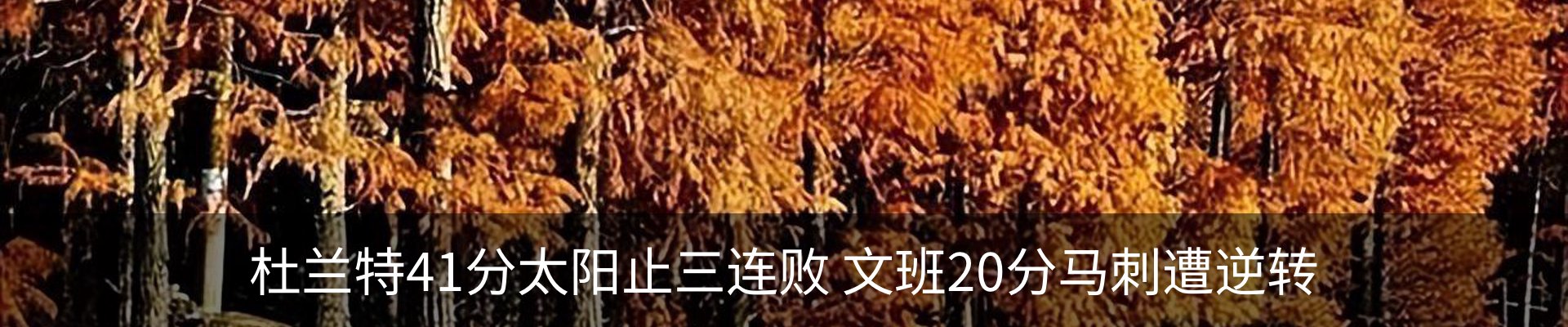内页banner