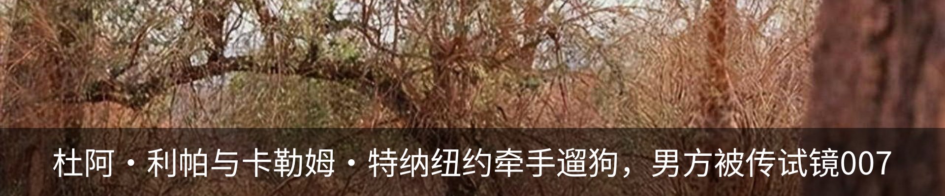 内页banner