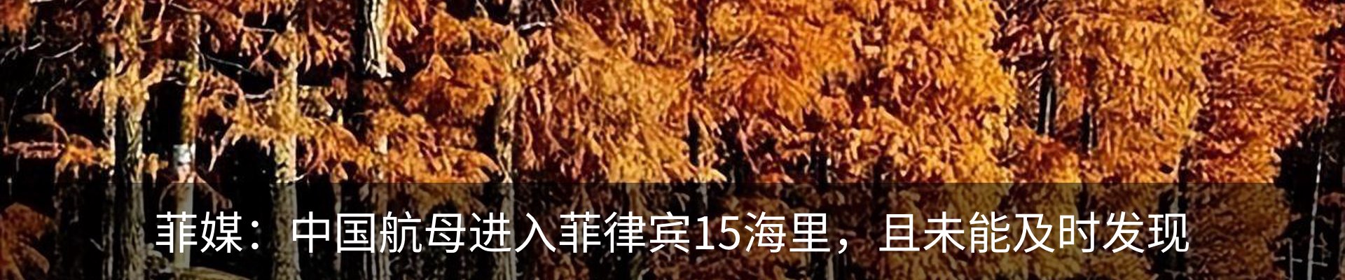 内页banner